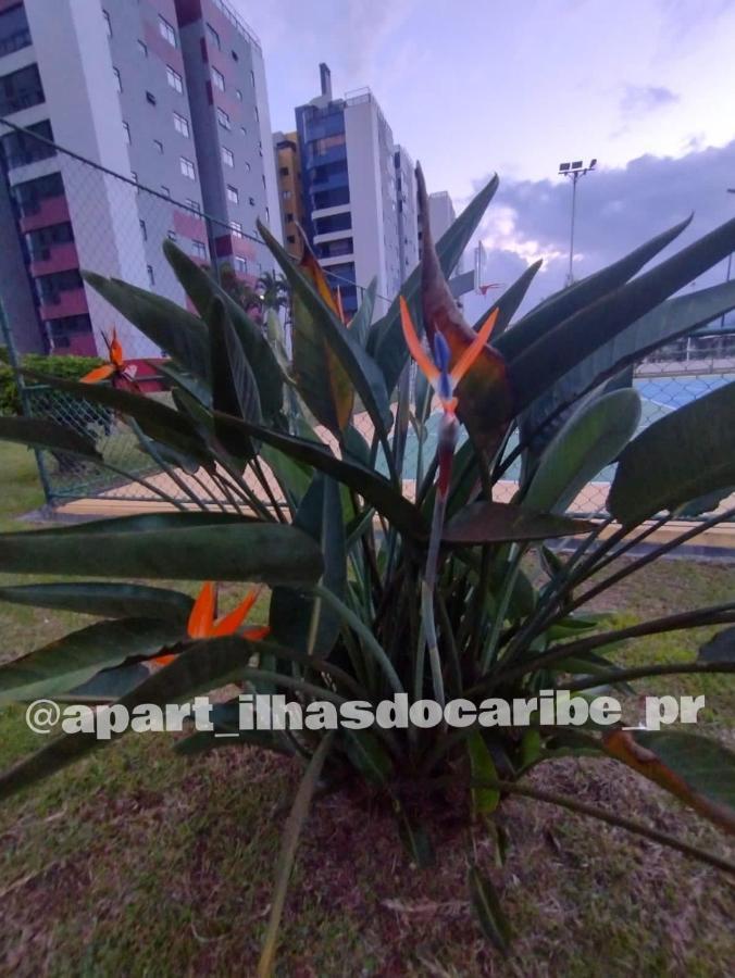 Apto Cond Ilhas Do Caribe - Pr - Beira Mar Matinhos Ngoại thất bức ảnh